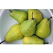 Bertlett Pears in a Plate