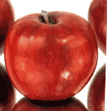 Jonathan Apple