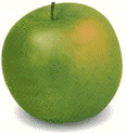 Granny Smith Apple