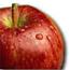 small-corner-apple.jpg (1495 bytes)